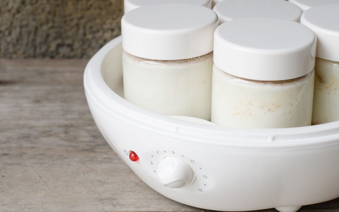 Descubre todo sobre la yogurtera Quigg Aldi: una opción práctica y económica para disfrutar de yogures caseros